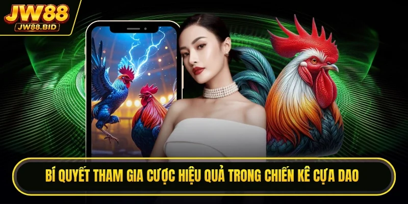 Bí quyết tham gia cược hiệu quả trong chiến kê cựa dao