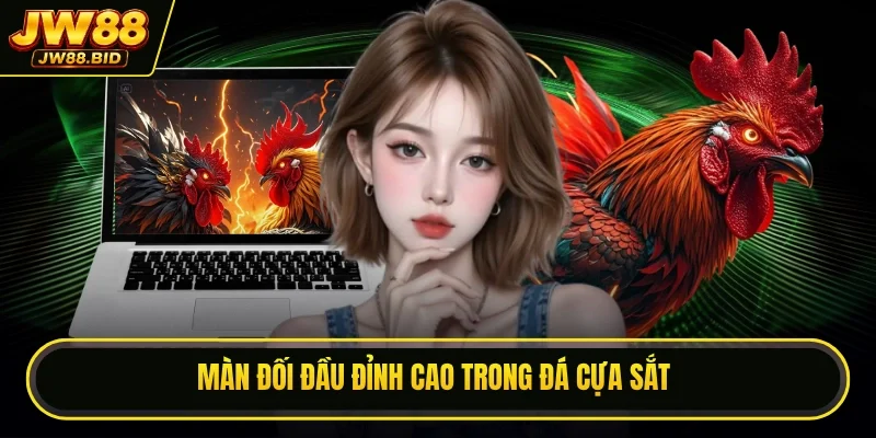 Màn đối đầu đỉnh cao trong đá cựa sắt