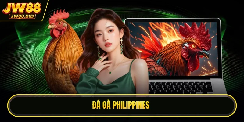 Đá Gà Philippines Các Trận Chiến Nảy Lửa Từ Bồ Gà Quốc Tế
